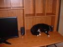boo-compdesk.jpg