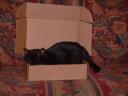 boo-smallbox.jpg