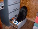 boo-drawer-open.jpg