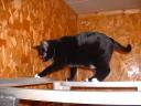 boo-watch-step.jpg